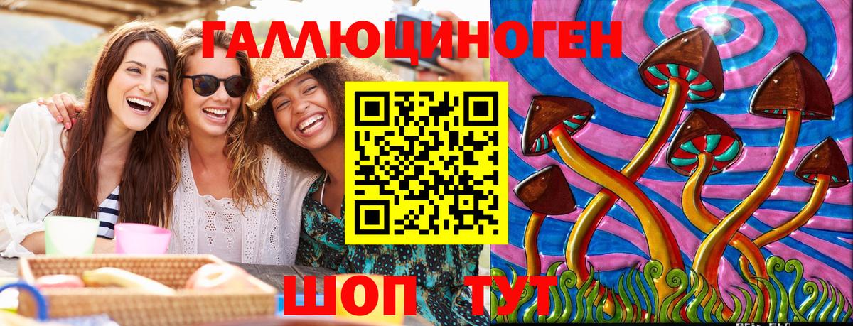 Псилоцибиновые грибы Cubensis  Вход с VPN  Электрогорск 